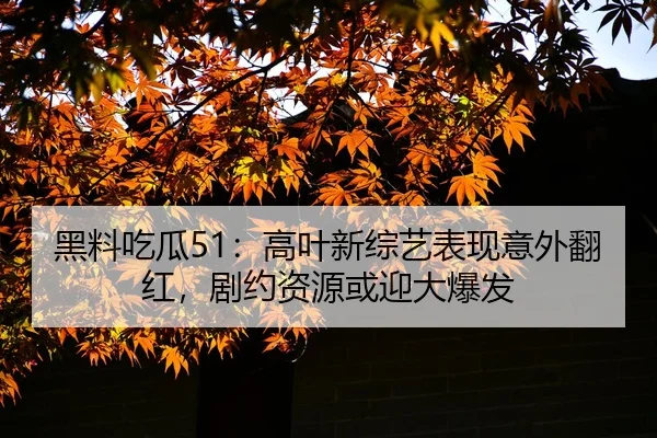 hei-liao-chi-gua-gao-ye-xin-zong-yi-biao-xian-yi-wai-fan-hong-ju-yue-zi-yuan-huo-ying-da-bao-fa-2-227.jpg